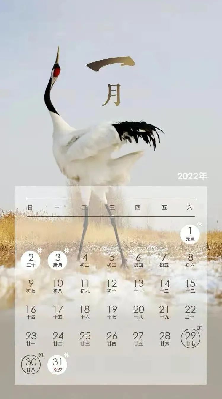 大理电视台