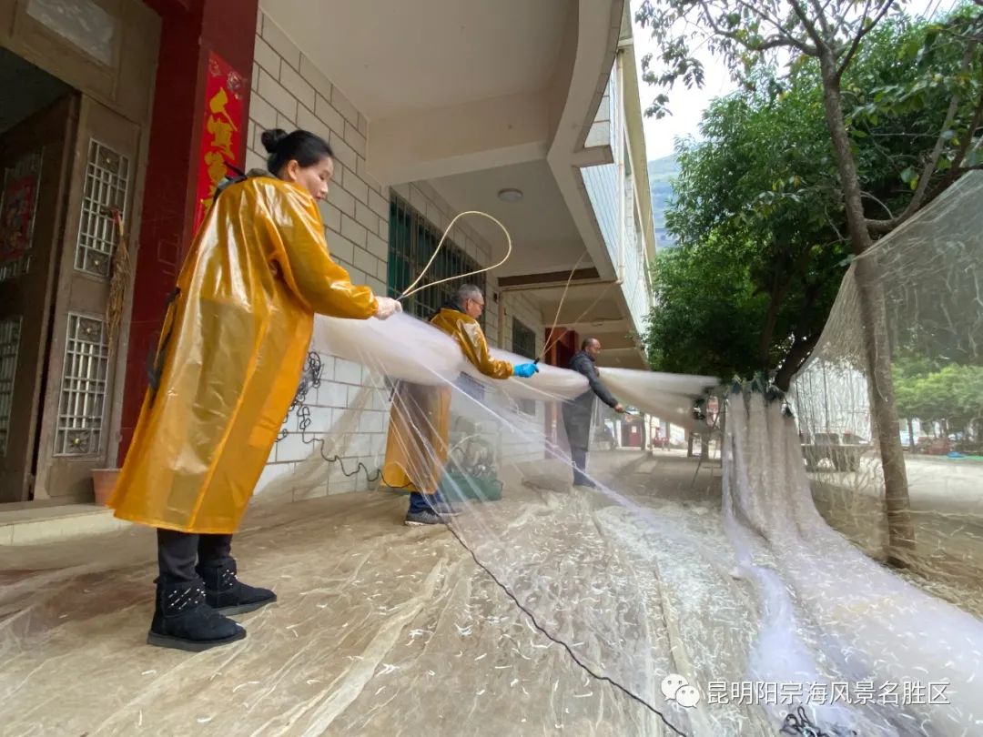 昆明发布