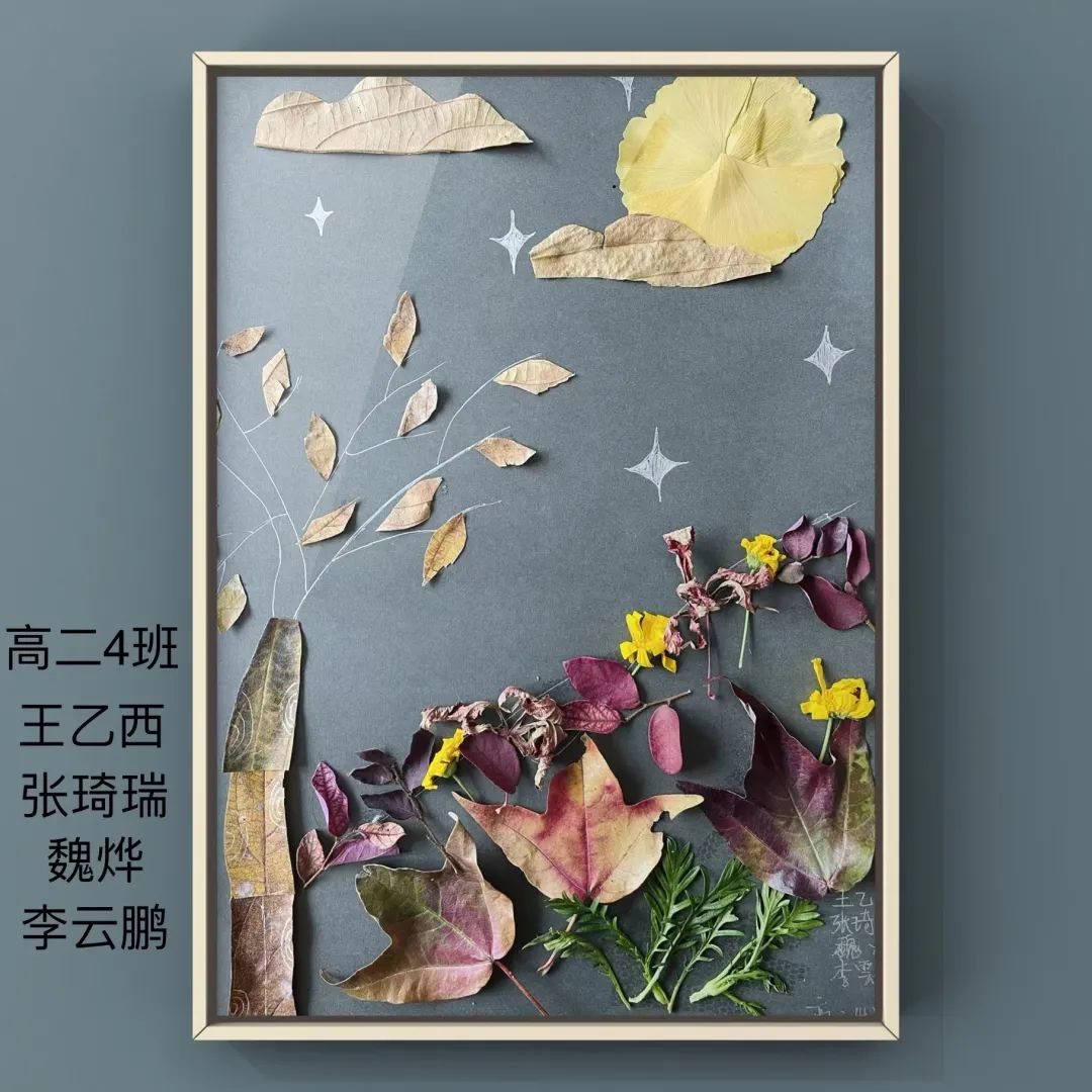 盘龙教育(微信)