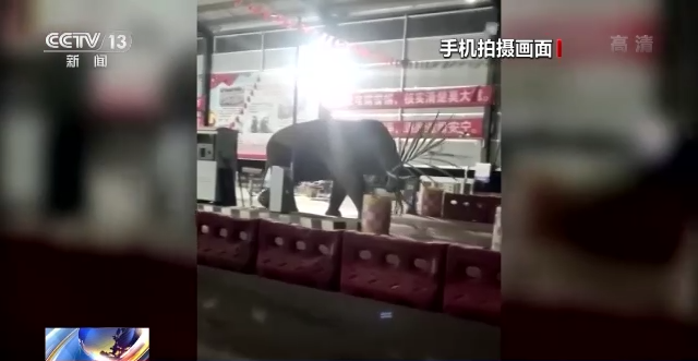 昆明信息港/cnkmxxg