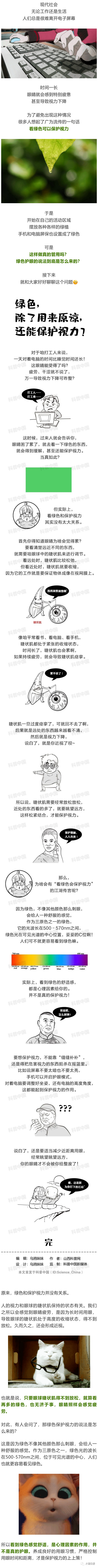 大理日报