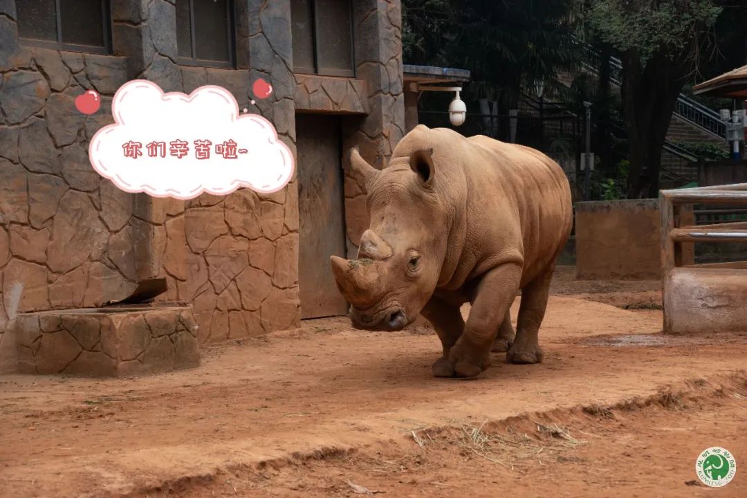 昆明动物园