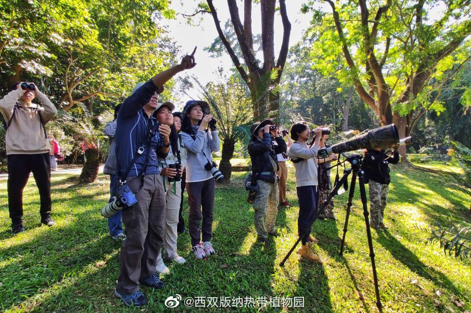 西双版纳热带植物园微博
