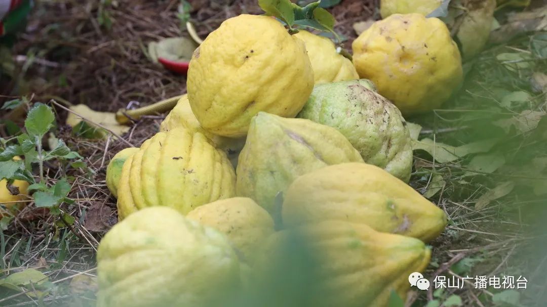 保山广播电视台