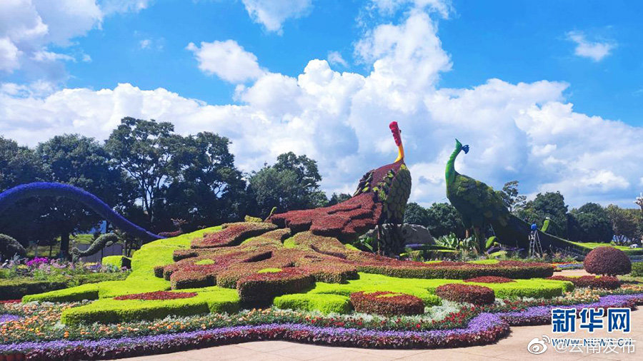 “云南发布”微博