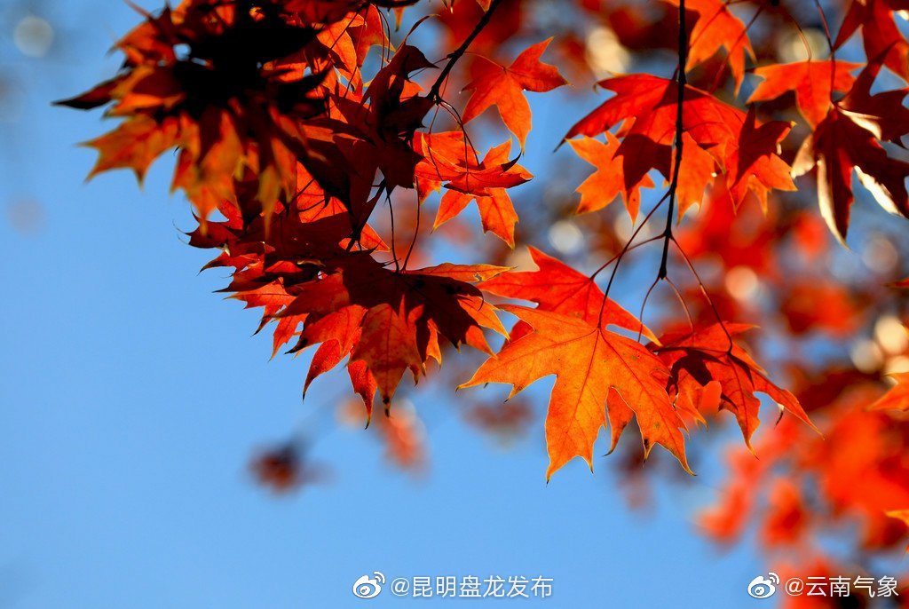 云南省未来24小时预报