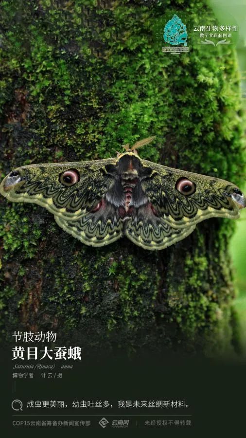 云南省人民政府网