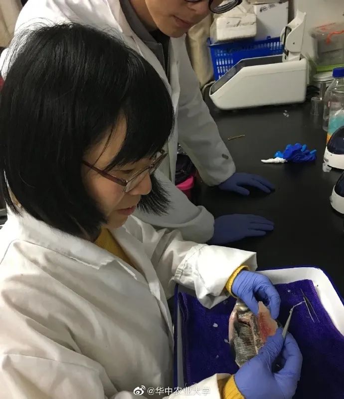 美丽云南微科普