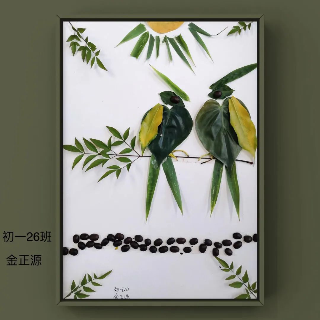 盘龙教育(微信)
