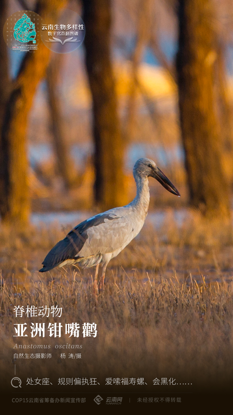 云南省人民政府网