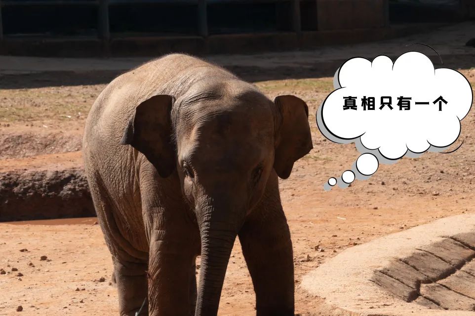昆明动物园