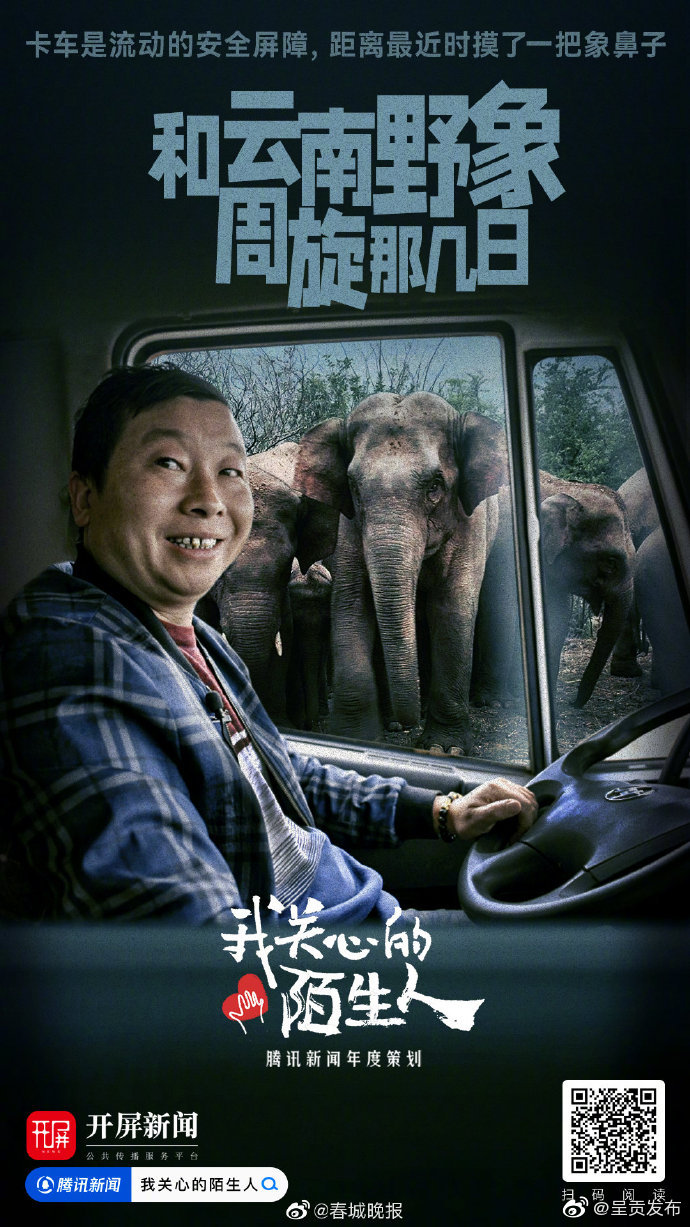 云南15头亚洲象一路向北迁移 护送野象的卡车司机：半个月吃住都在车上，距离最近时摸了一把象鼻子