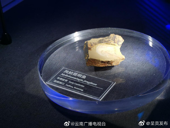 呈贡发布