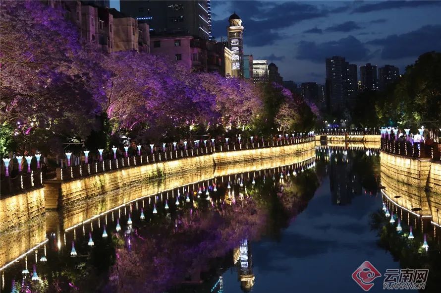 云南广播电视台