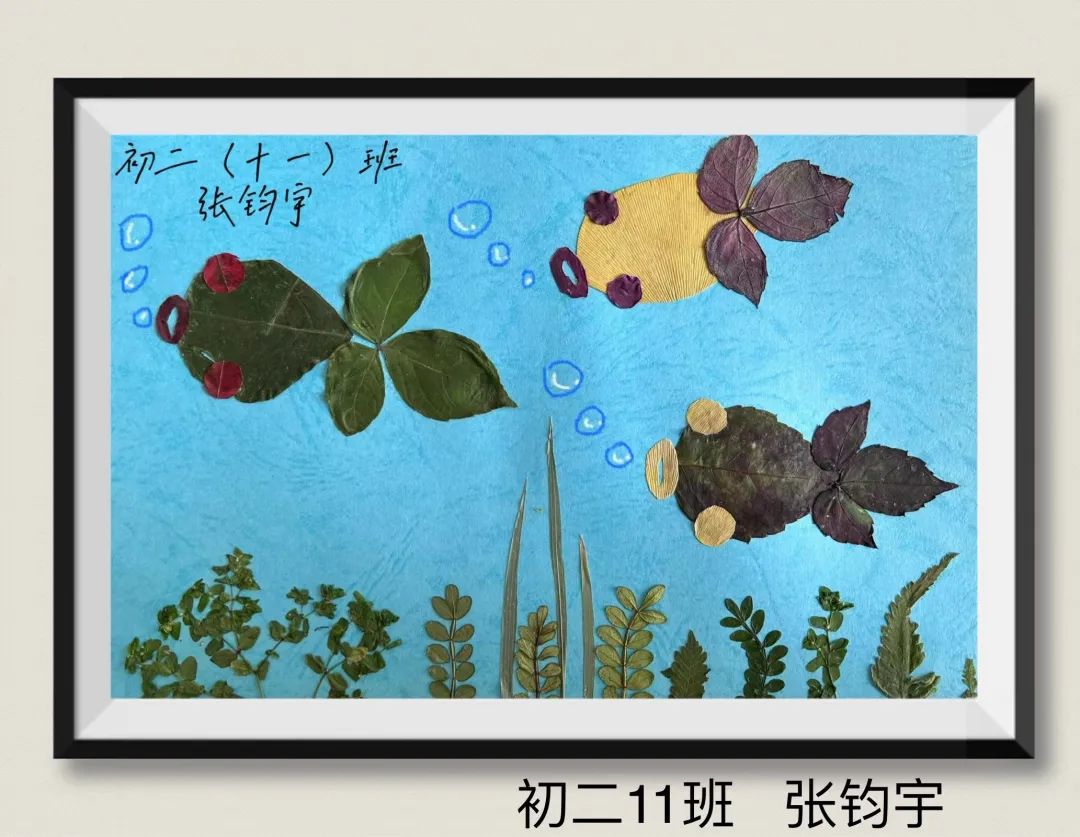 盘龙教育(微信)