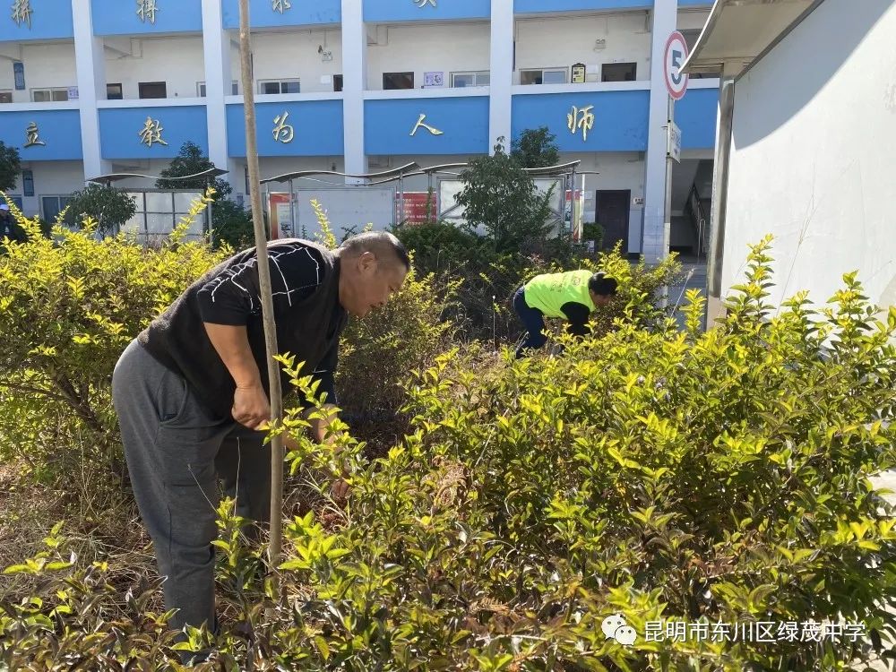 东川教育(微信)