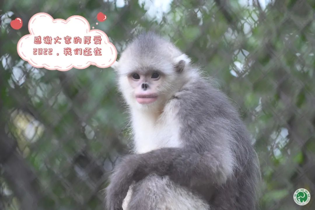 昆明动物园