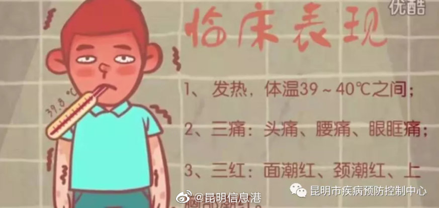 昆明信息港