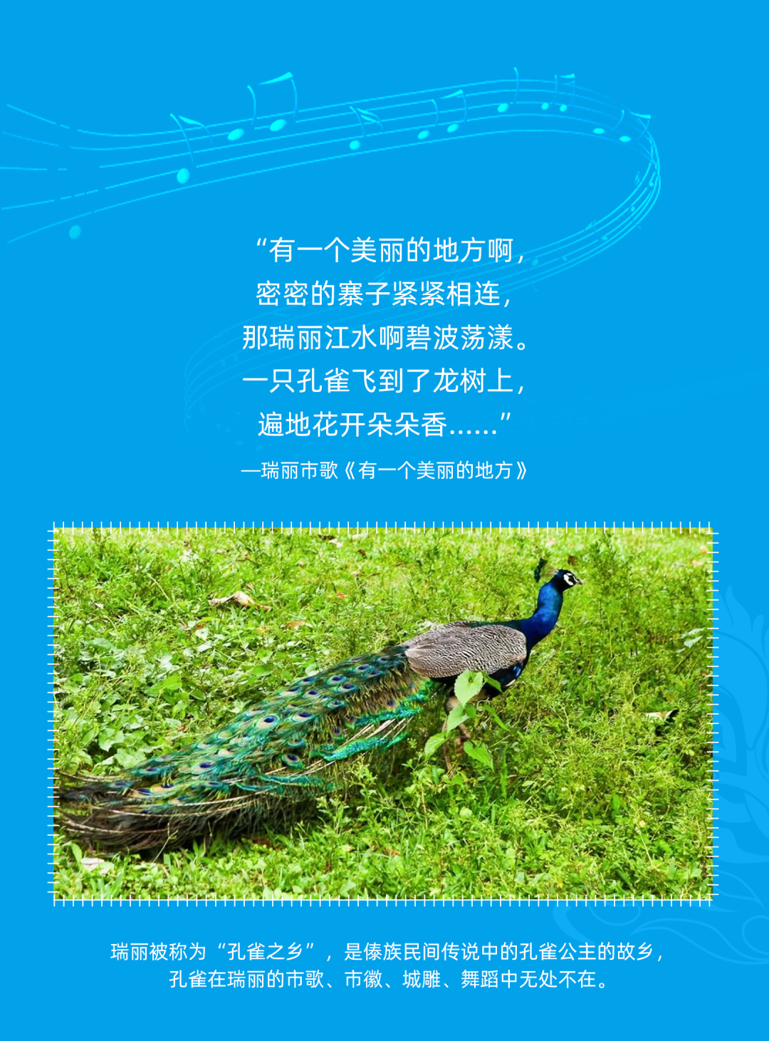 德宏团结报