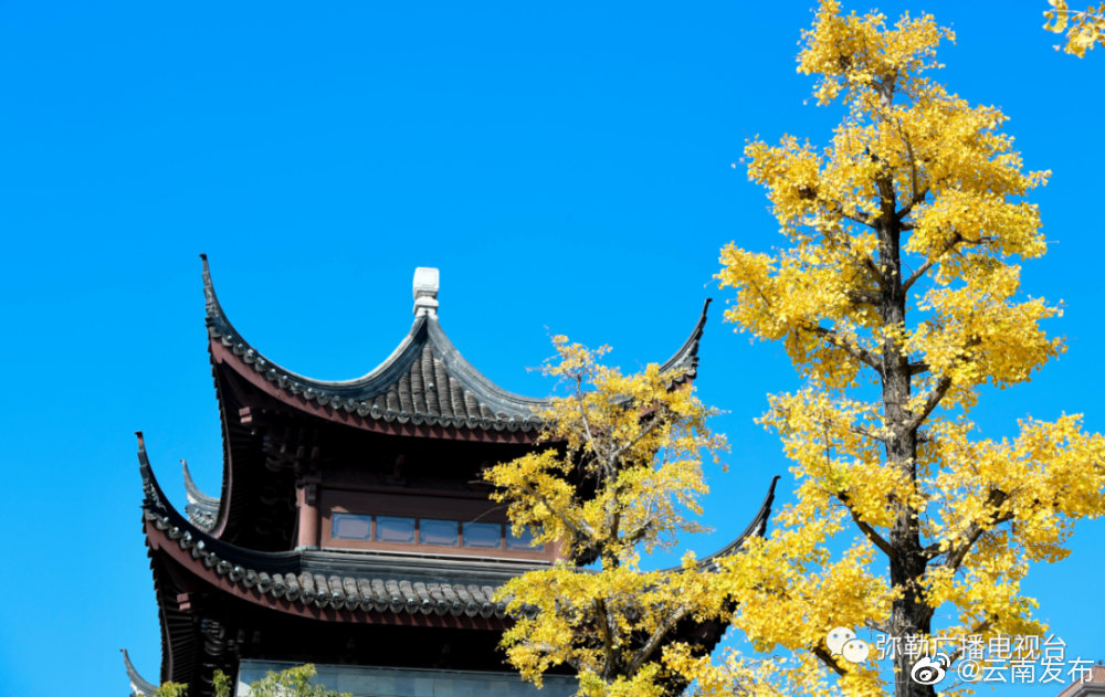 “云南发布”微博