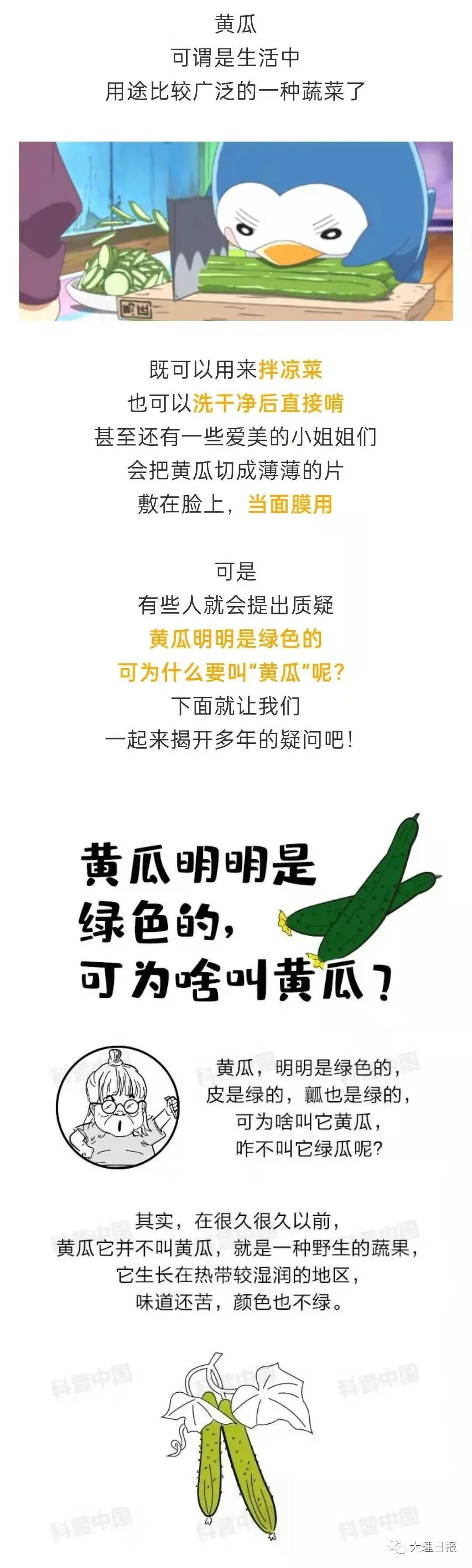 大理日报