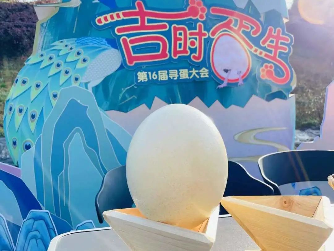 云南野生动物园