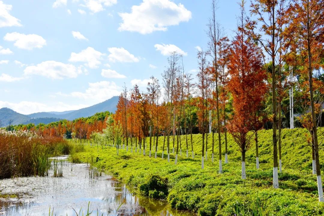 红河文旅