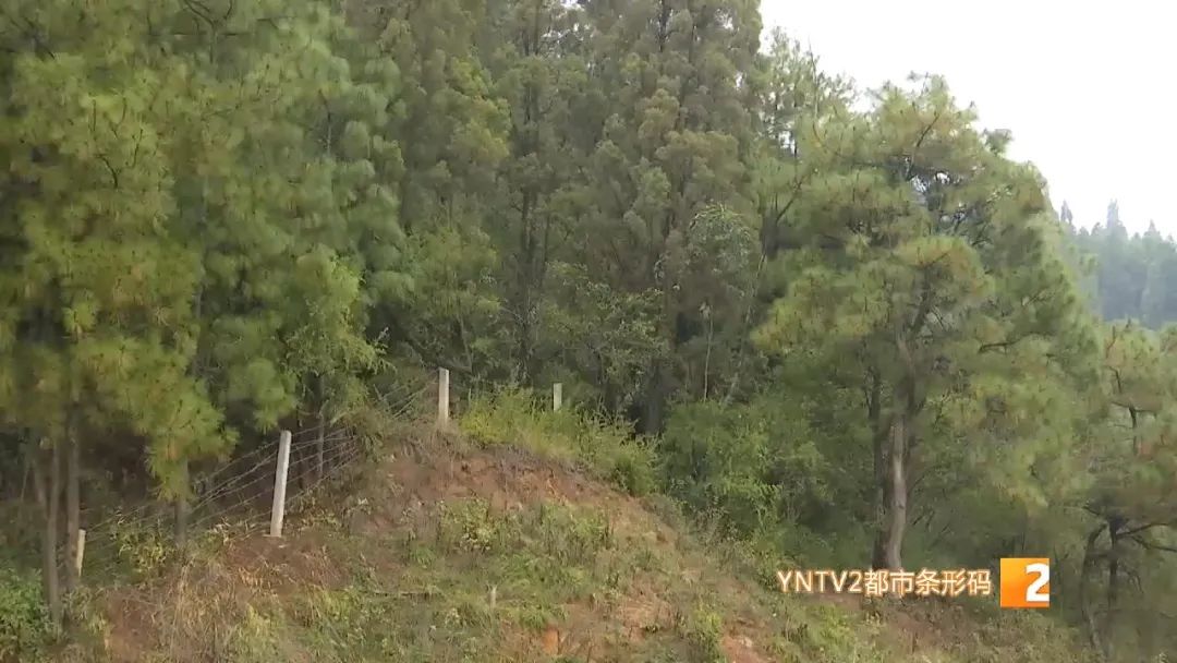 昆明信息港/cnkmxxg