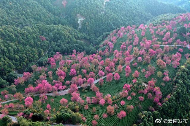 “云南发布”微博