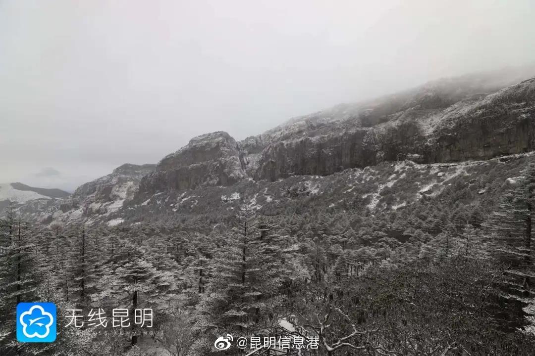 昆明信息港