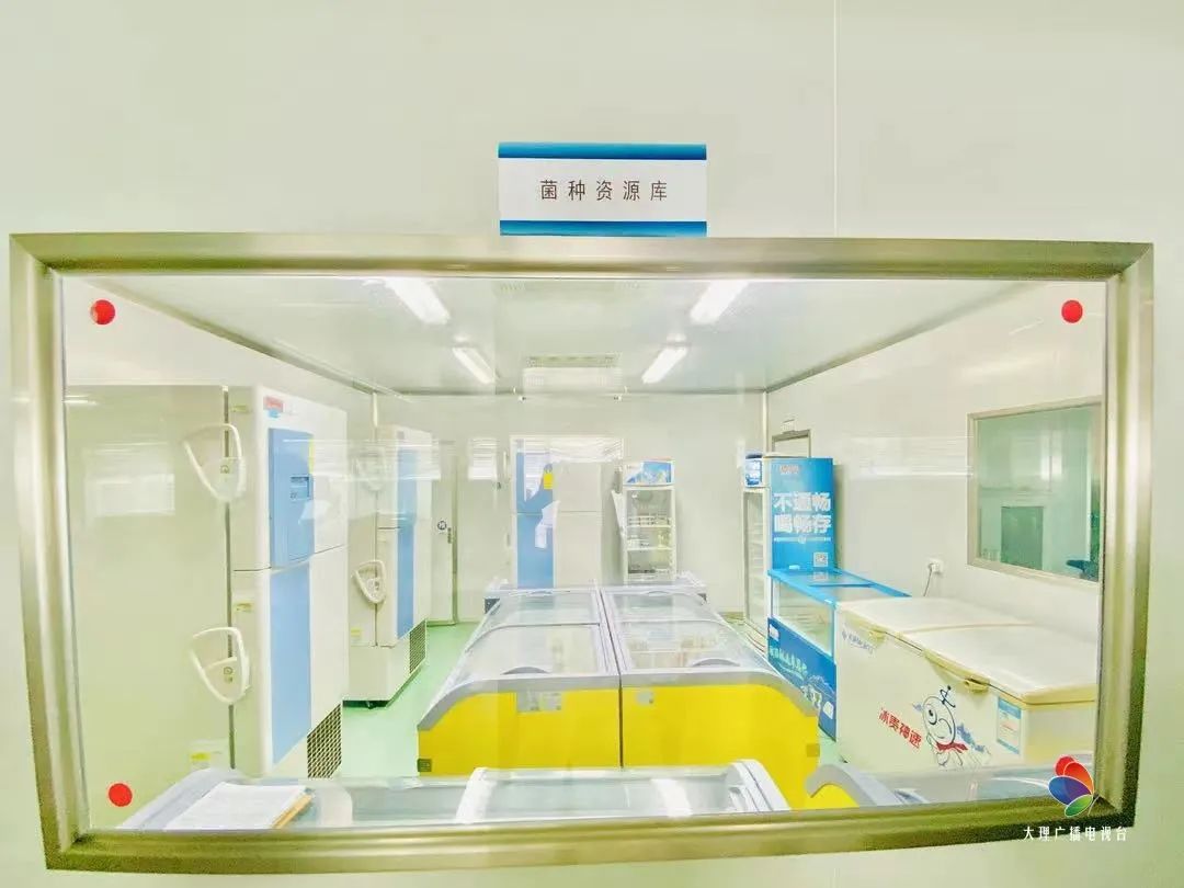 大理电视台