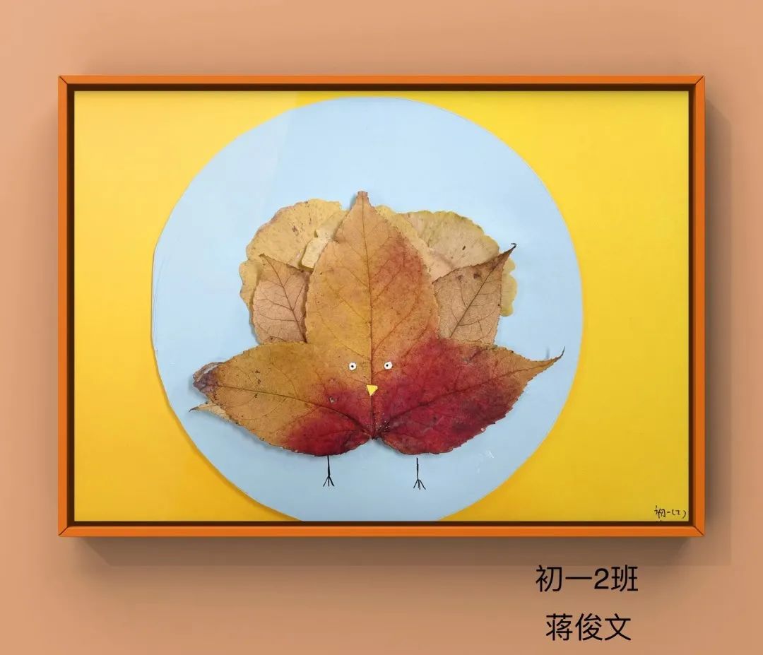 盘龙教育(微信)