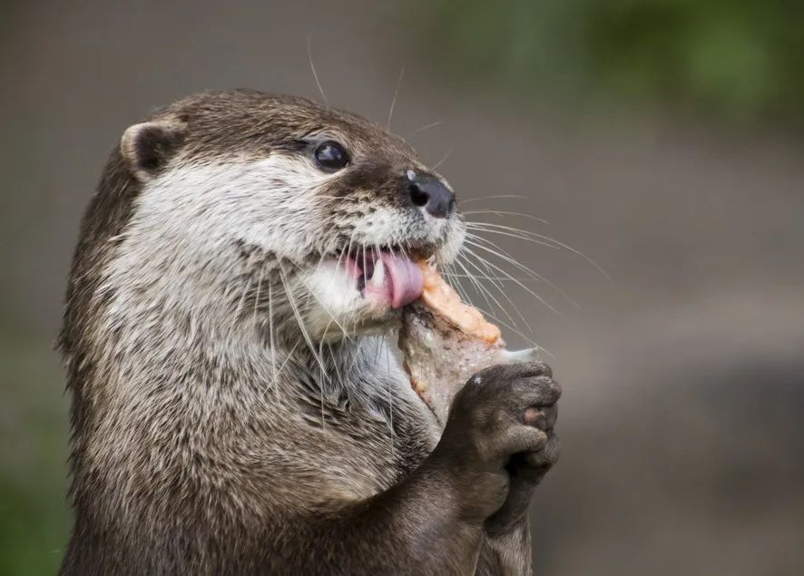 昆明动物园