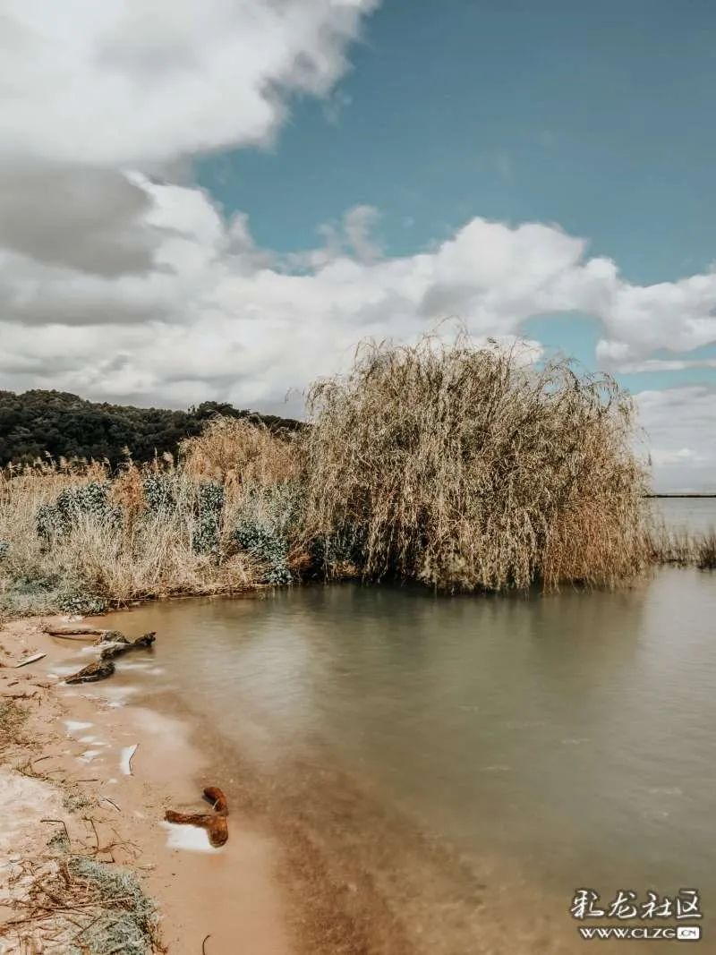 昆明信息港/cnkmxxg