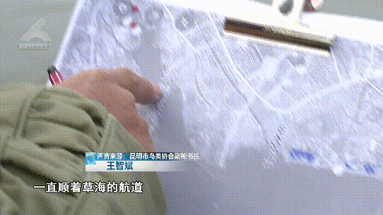 昆明发布