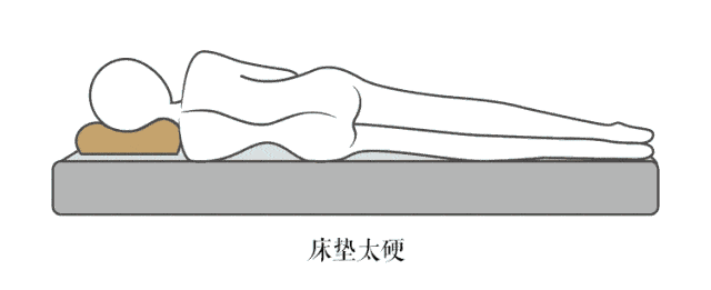 一组数字选出腰部最爱的床垫