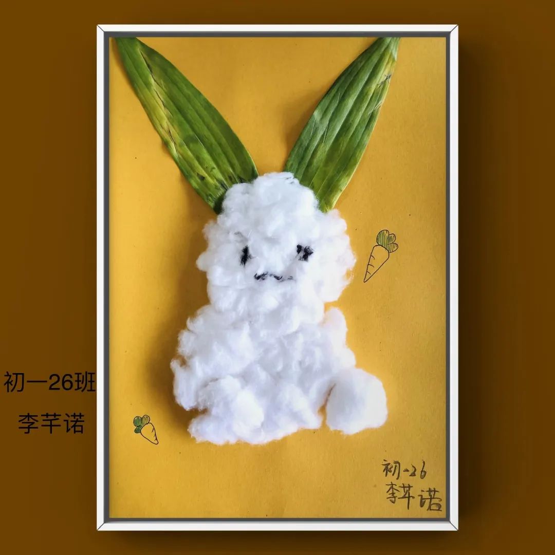盘龙教育(微信)
