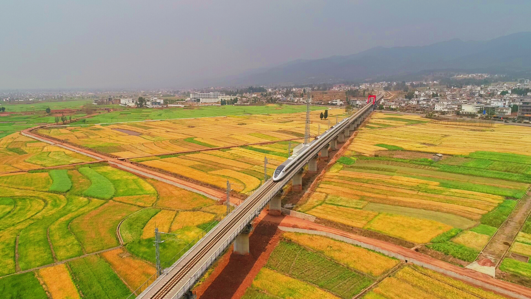 云南省人民政府网