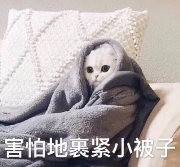 昆明信息港/cnkmxxg