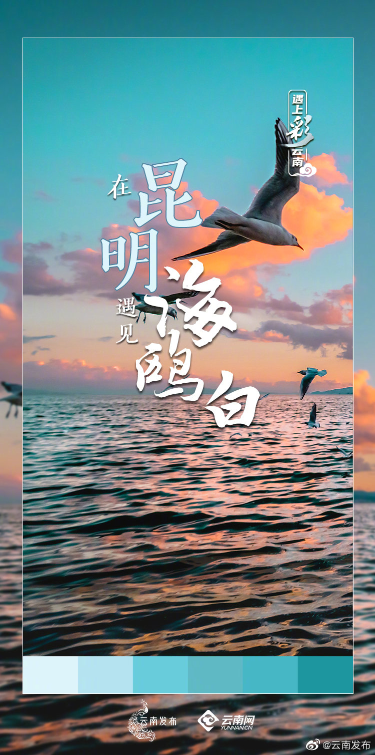 “云南发布”微博