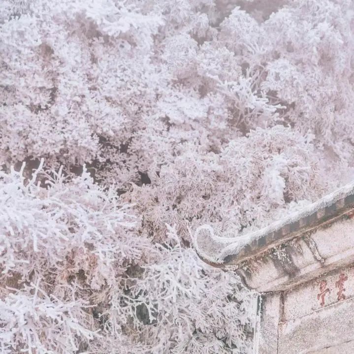 昆明市西山区图书馆