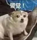 平安东川(微信)