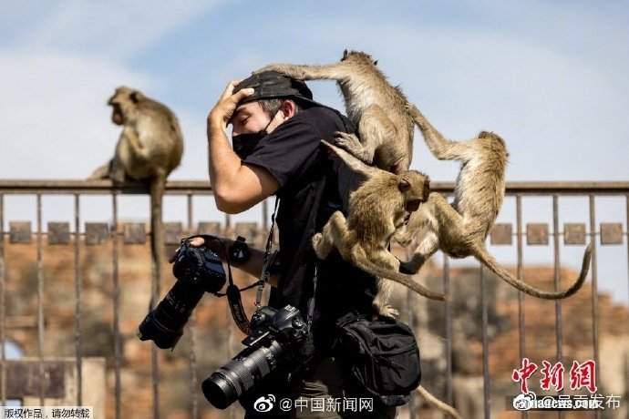 呈贡发布
