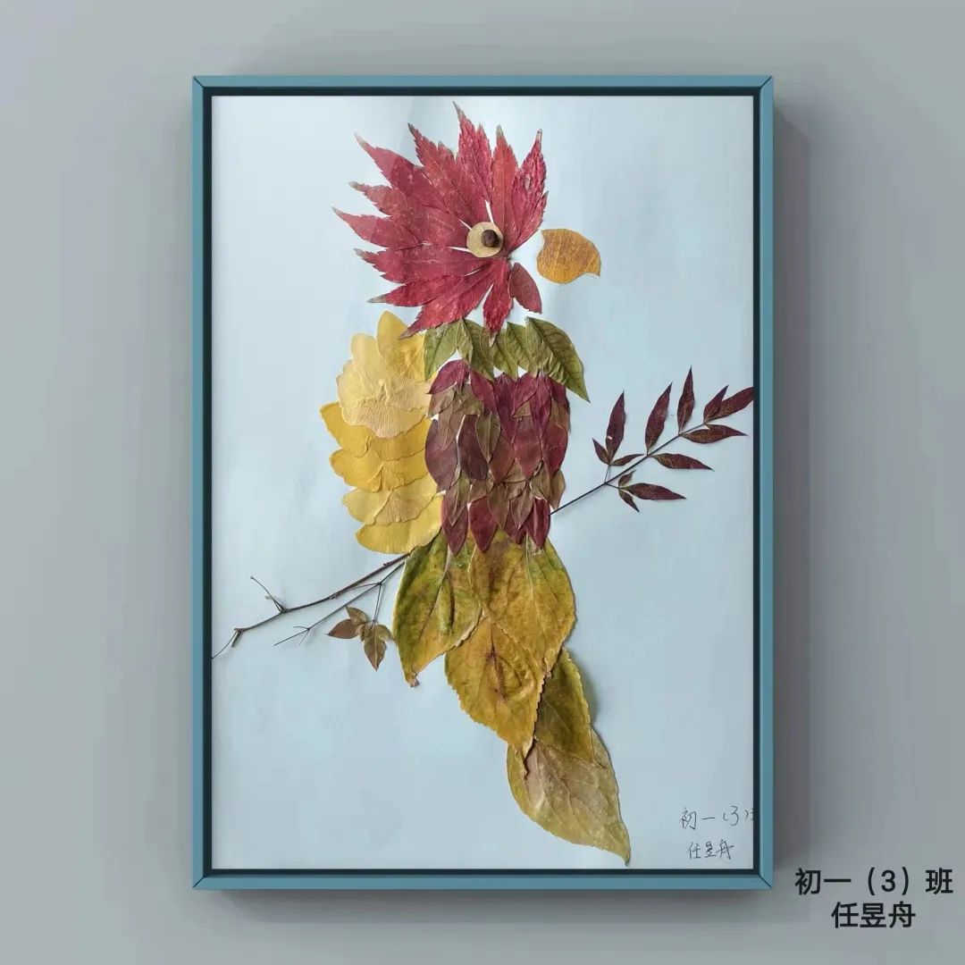 盘龙教育(微信)