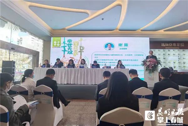 掌上春城微信公众号