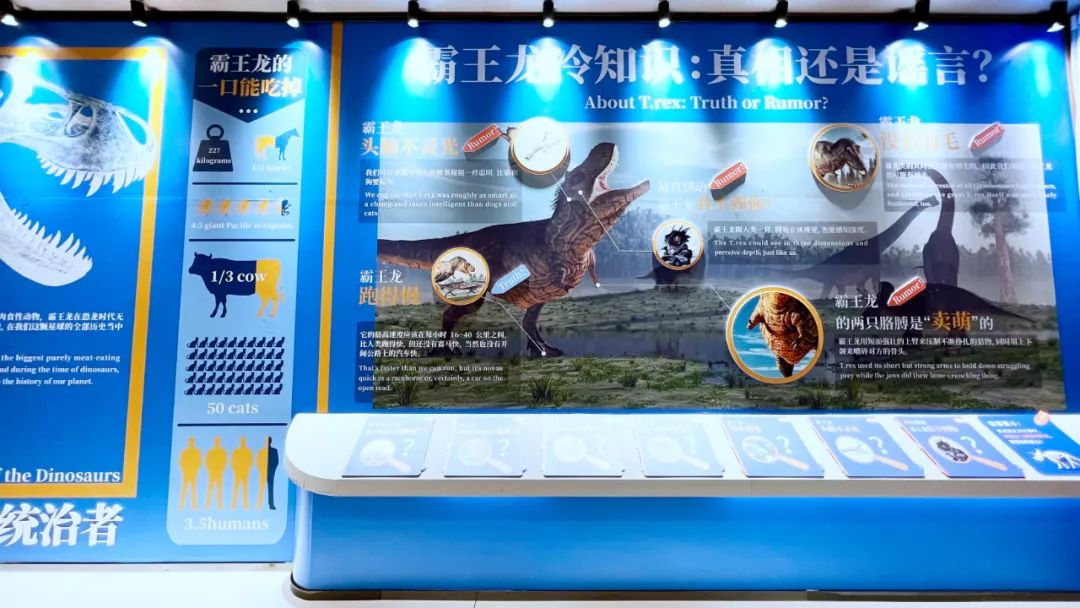 盘龙教育(微信)