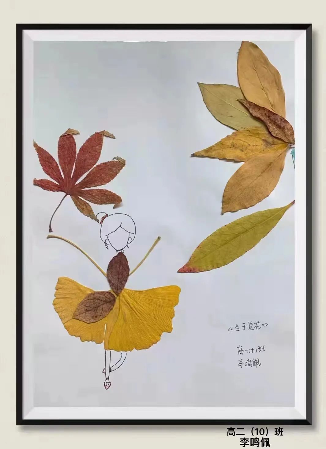 盘龙教育(微信)