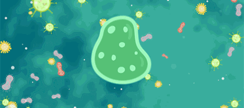 刷牙时别漏下嘴里这个地方