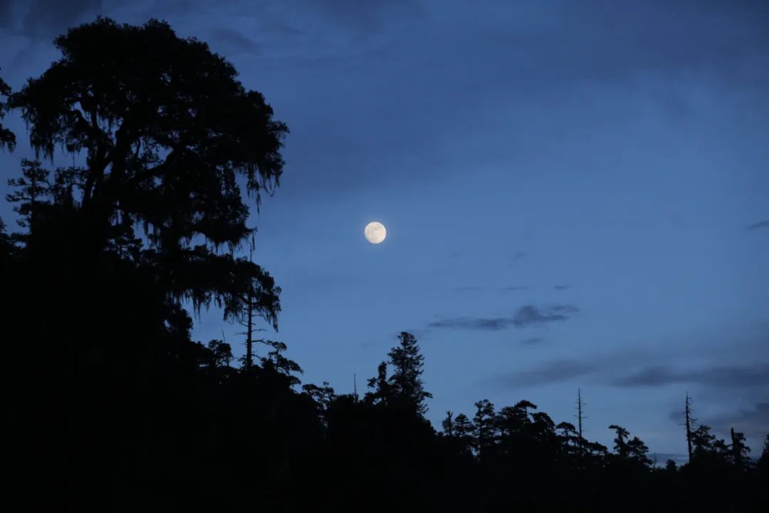 丽江日报
