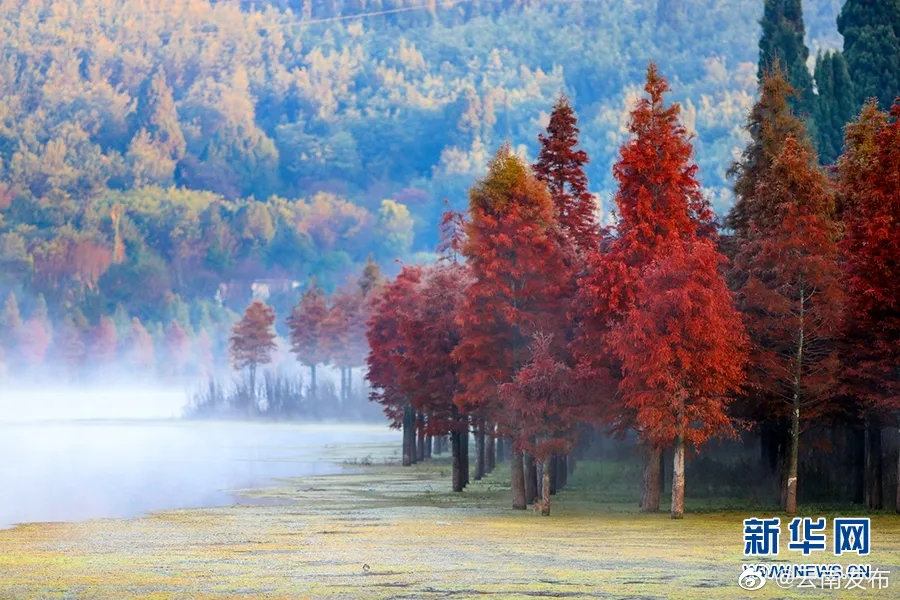 “云南发布”微博